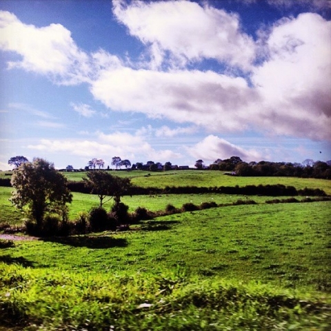 The Northern Irish countryside near Saintfield, Northern Ireland