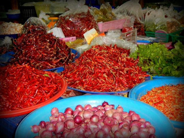 Day market in Chiang Mai for our cooking class, Thailand