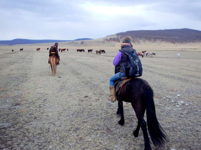 Horse-trekking through northern Mongolia, wild horses are a common sight