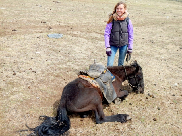 When your horse decides he's done walking, and you don't really know what to do. Horse-trekking in Northern Mongolia.