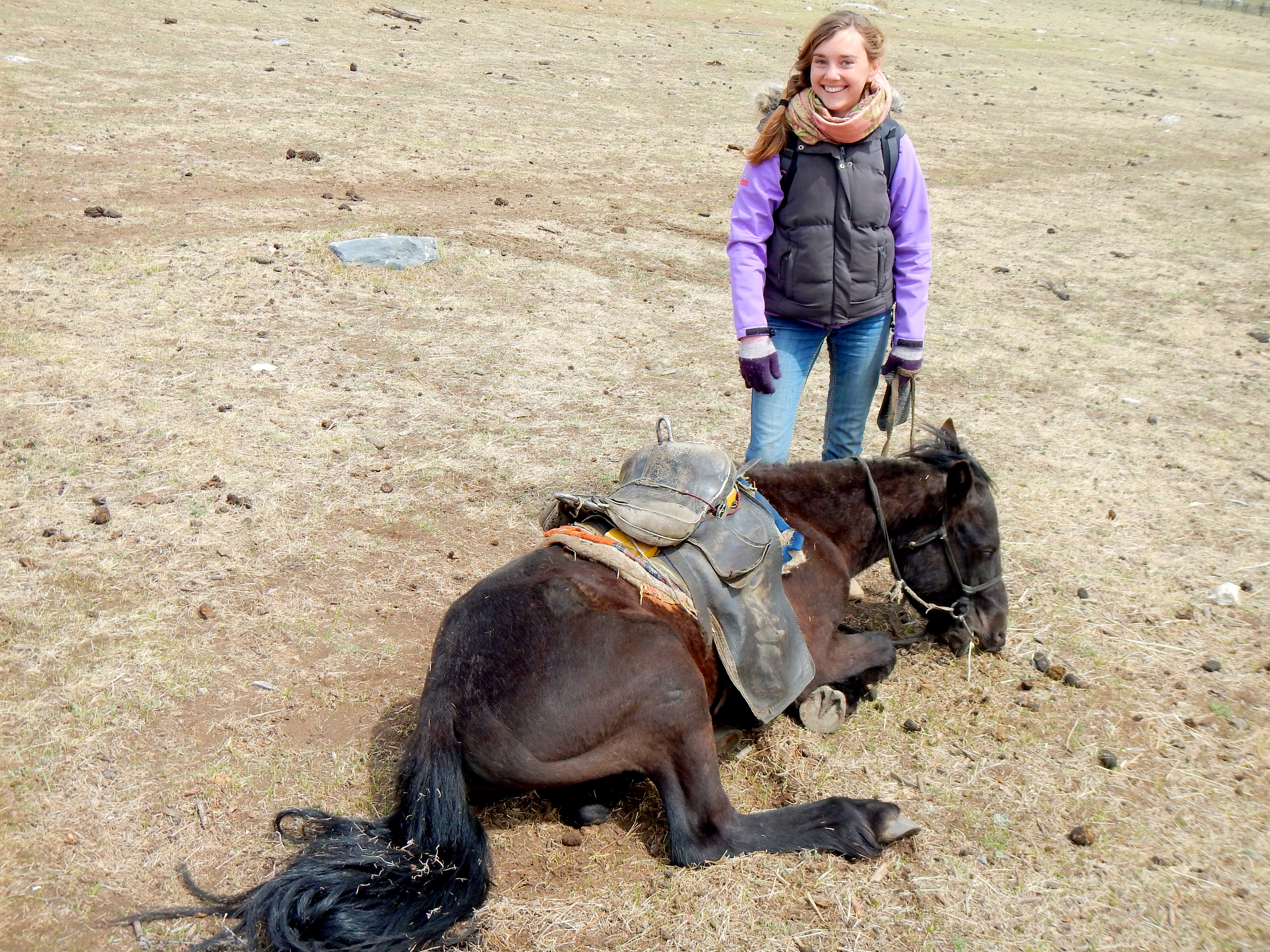 When your horse decides he's done walking, and you don't really know what to do. Horse-trekking in Northern Mongolia.