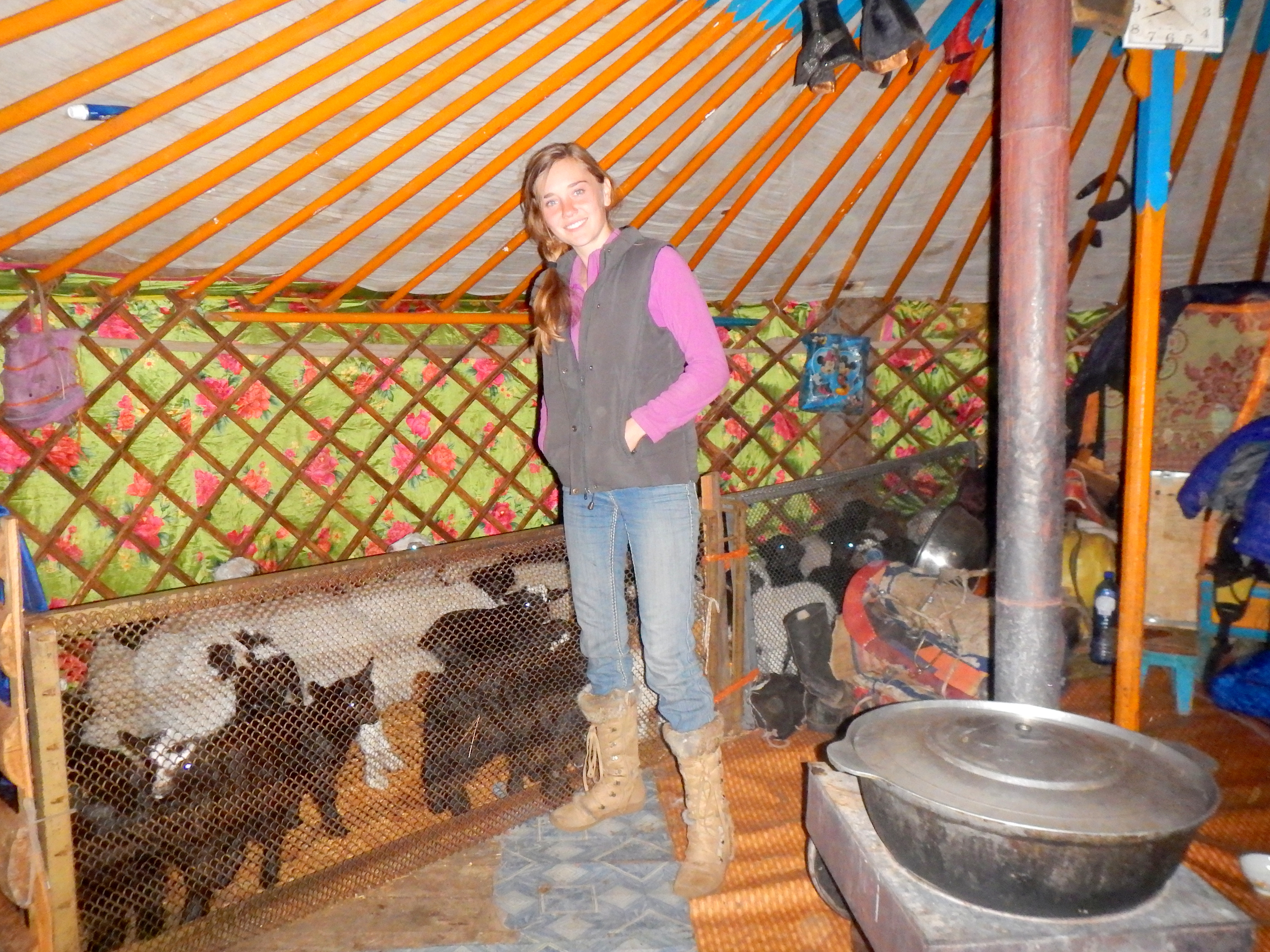 Inside the ger. This is their family home. They bring the baby goats inside when it gets too cold. Northern Mongolia.