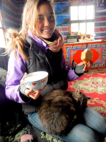 While horse trekking the countryside, we would often stop when we passed by someone's home. It is Mongolian custom to always offer hospitality to travelers, so we would stop and have bread and tea.