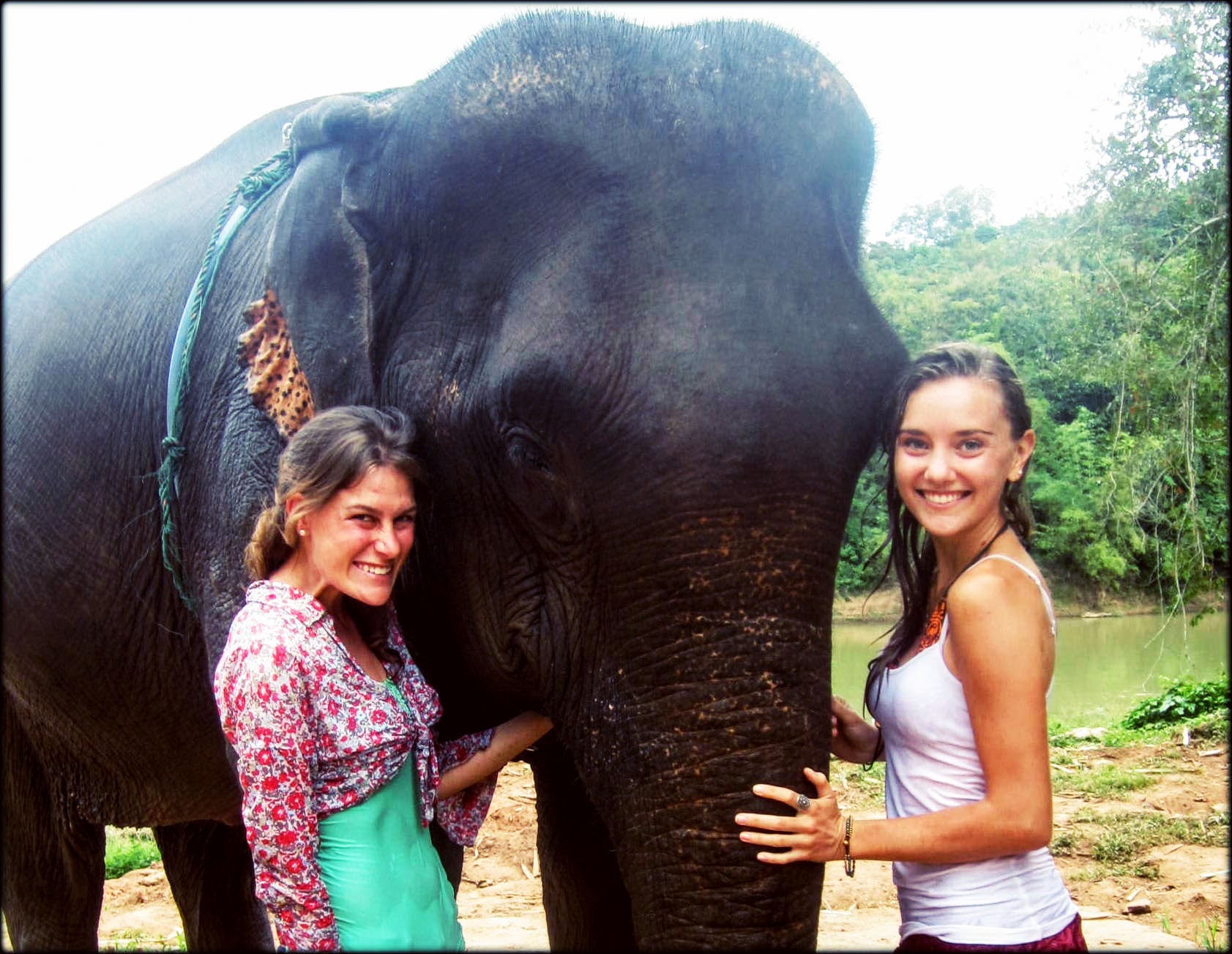 Elephants near Luang Prabang, Laos