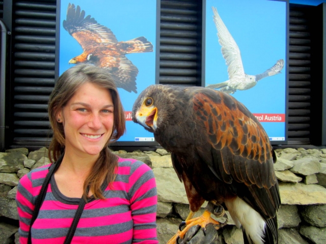 Riegersburg Falconry Austria