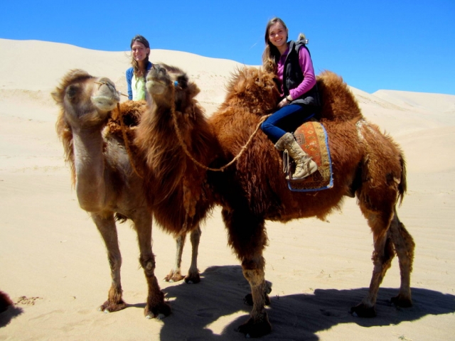 Camel trekking in Khongoriin Els, Gobi, Mongolia