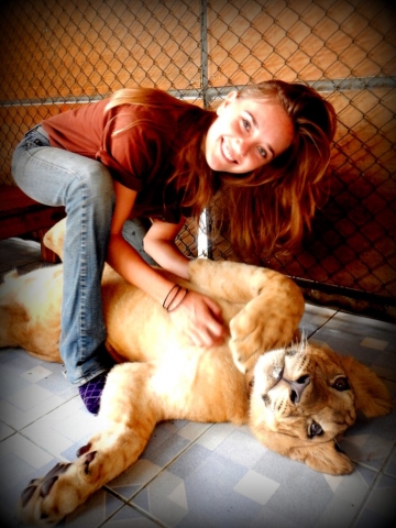 With Simba the lion at the Safari Park Zoo Volunteer Project, Kanchanaburi, Thailand