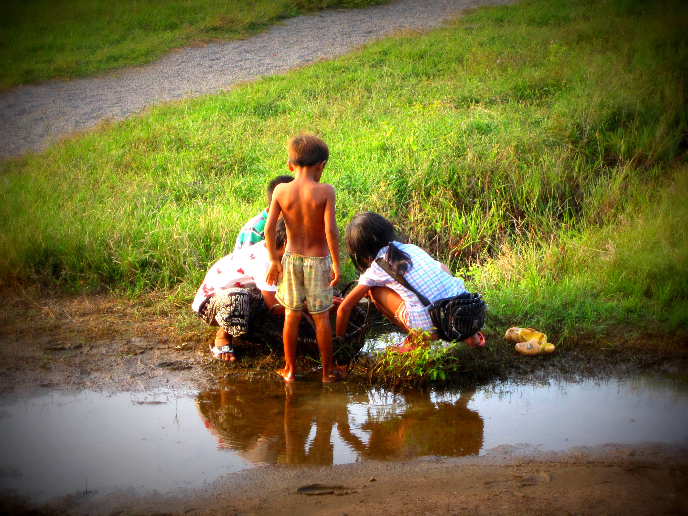 Cambodian children catching frogs