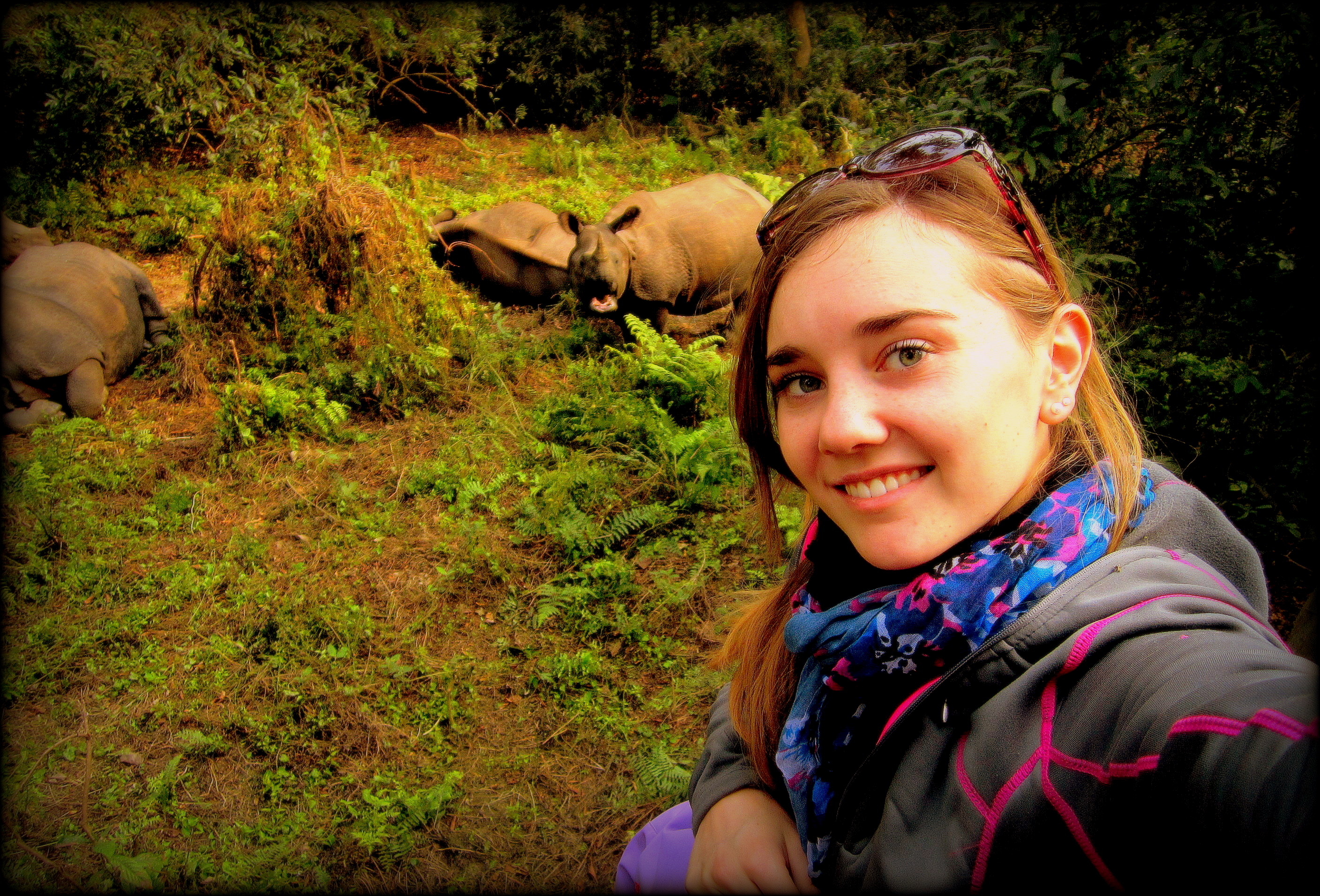 Wild rhinos in Chitwan, Nepal