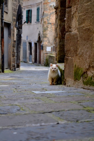 Arcidosso. Tuscany, Italy