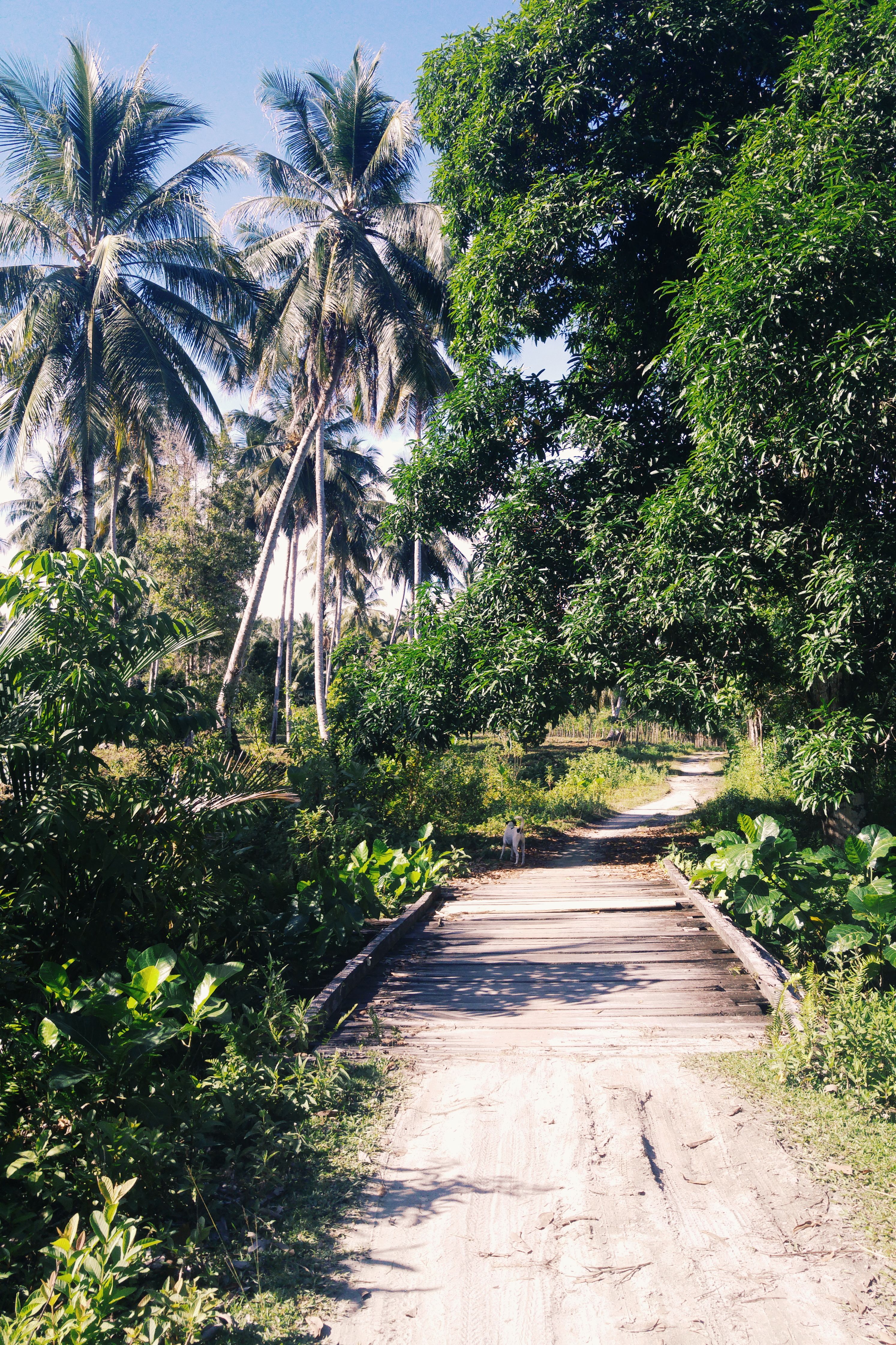 Indonesia, Pulau Unauna