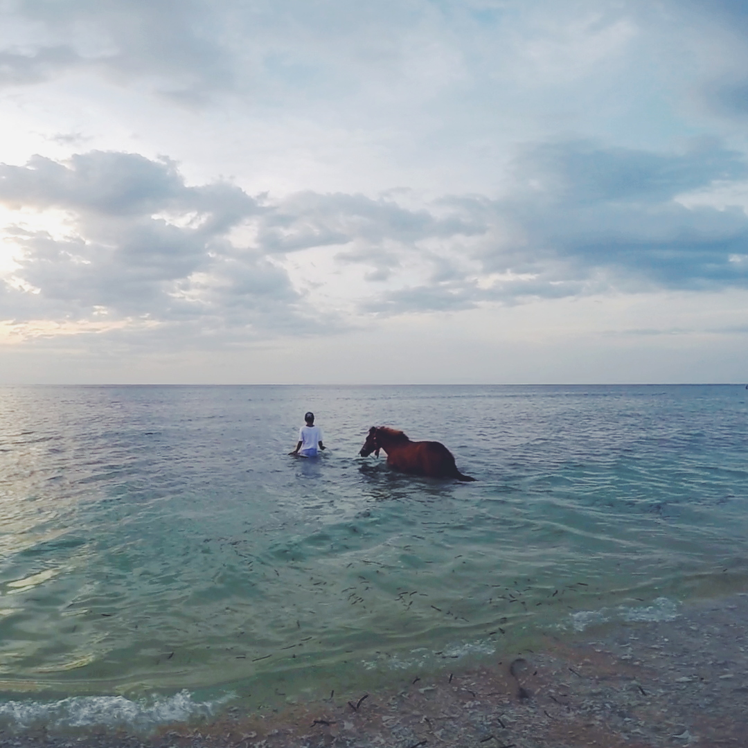 Indonesia, Gili Air- just a man and his horse, going for a swim
