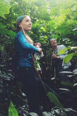 Bwindi Forest, Uganda- the hike to see the last wild gorillas