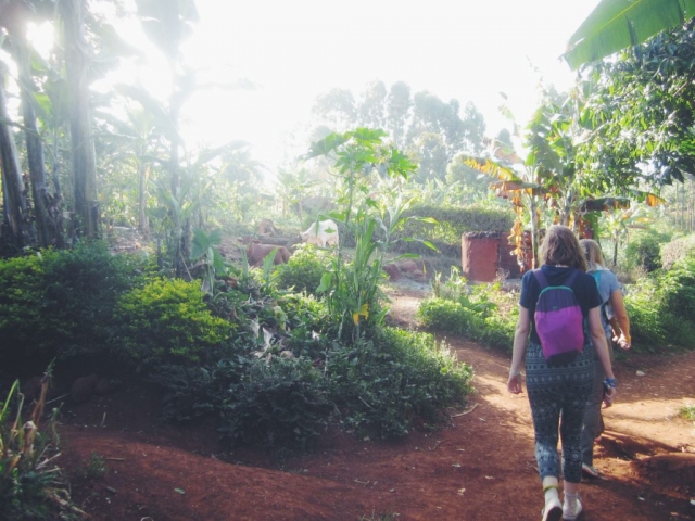 Sipi, Uganda- taking a coffee tour