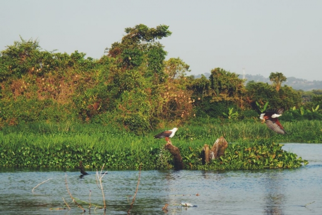 Jinja, Uganda- the mouth of the Nile